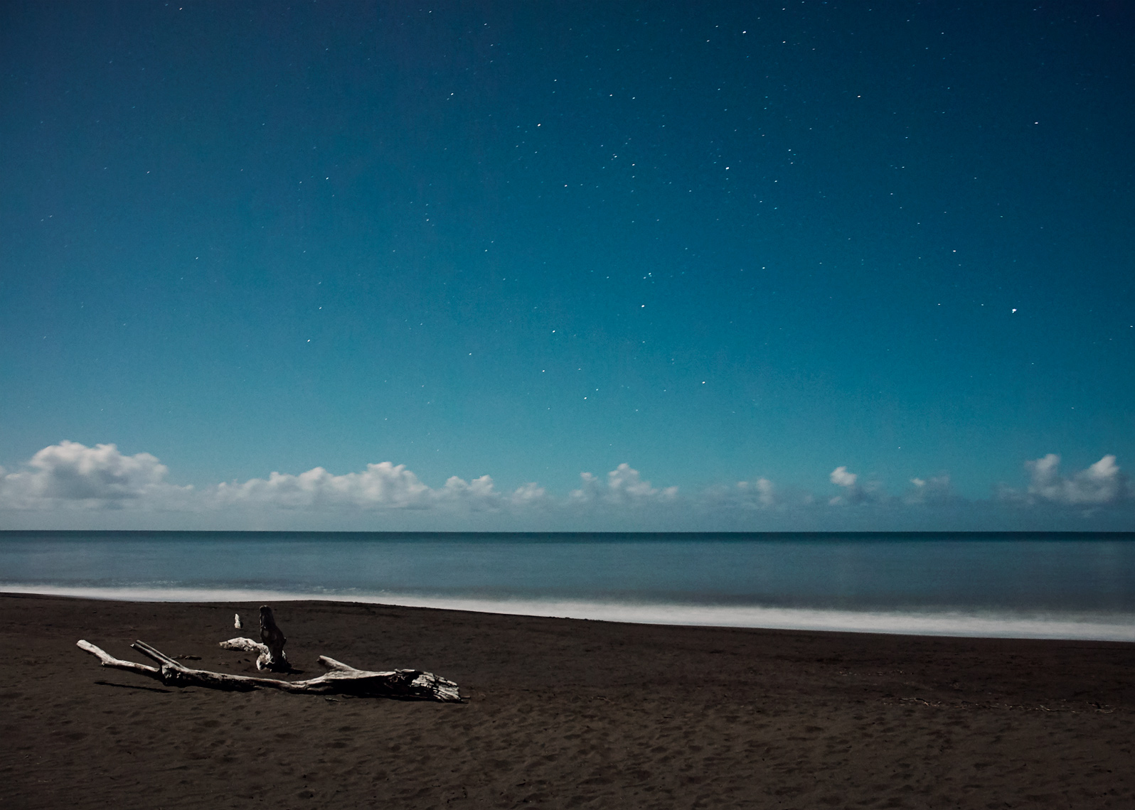 The stars are out in this long exposure shot of a PNW beach