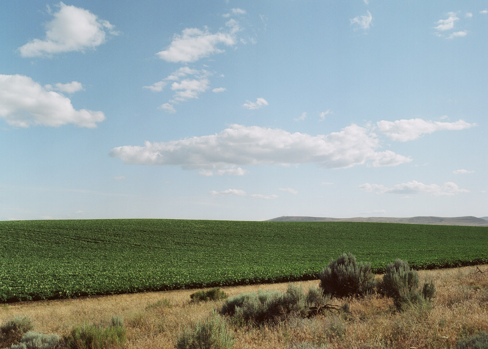 Field in a desert contrast landscape photography
