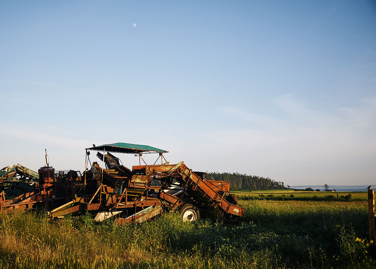 Tractor in a field