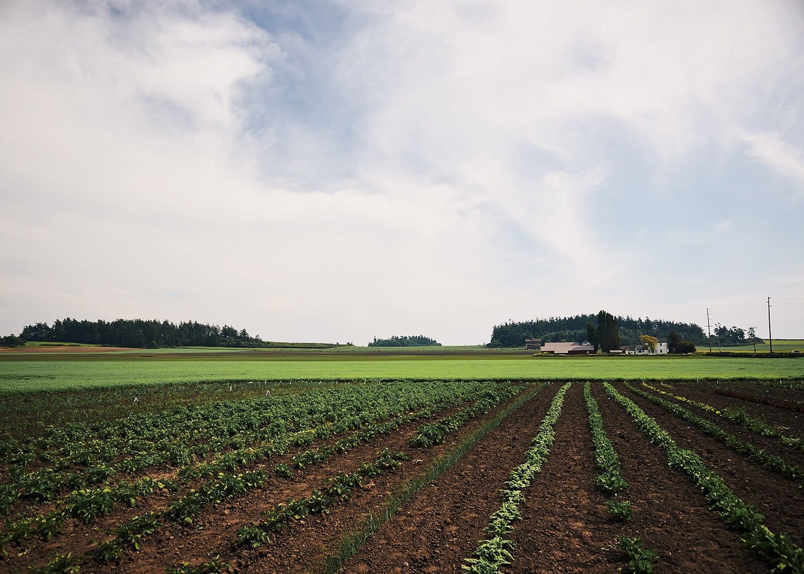 EbeyFarms_18