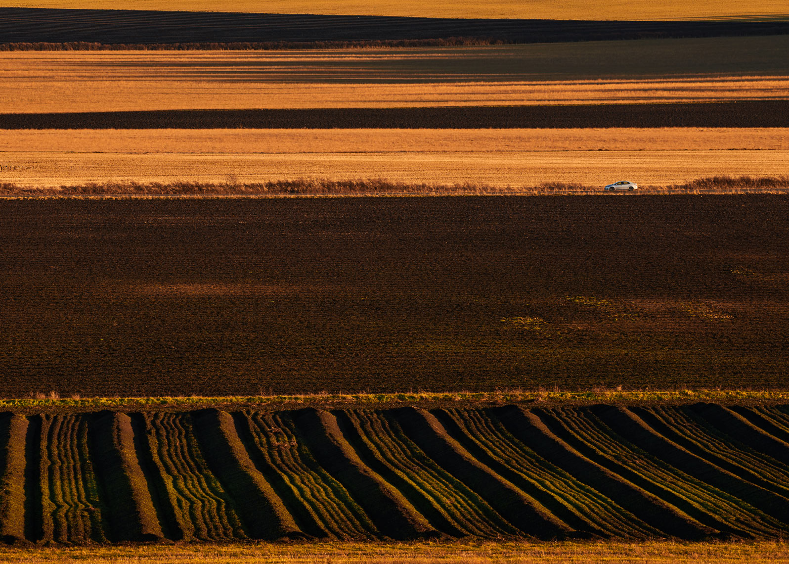 Landscape photography of land used for Agriculture