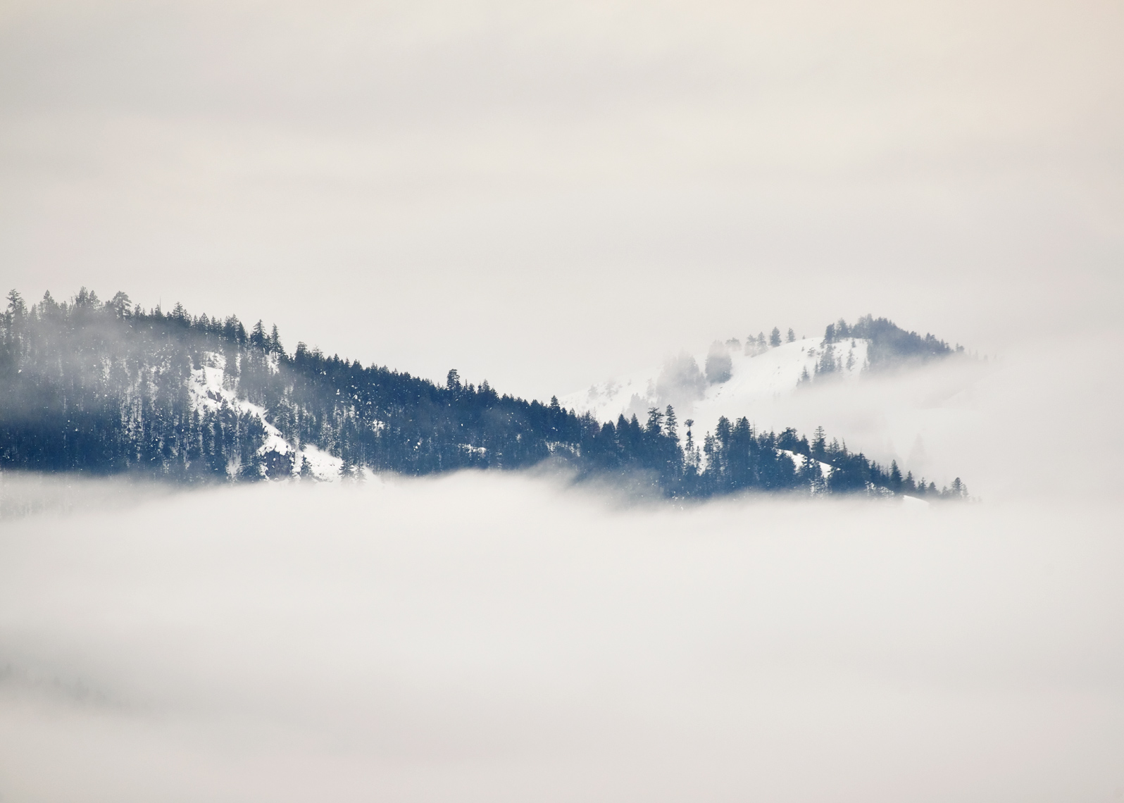Mountain floats in mist in this landscape photo
