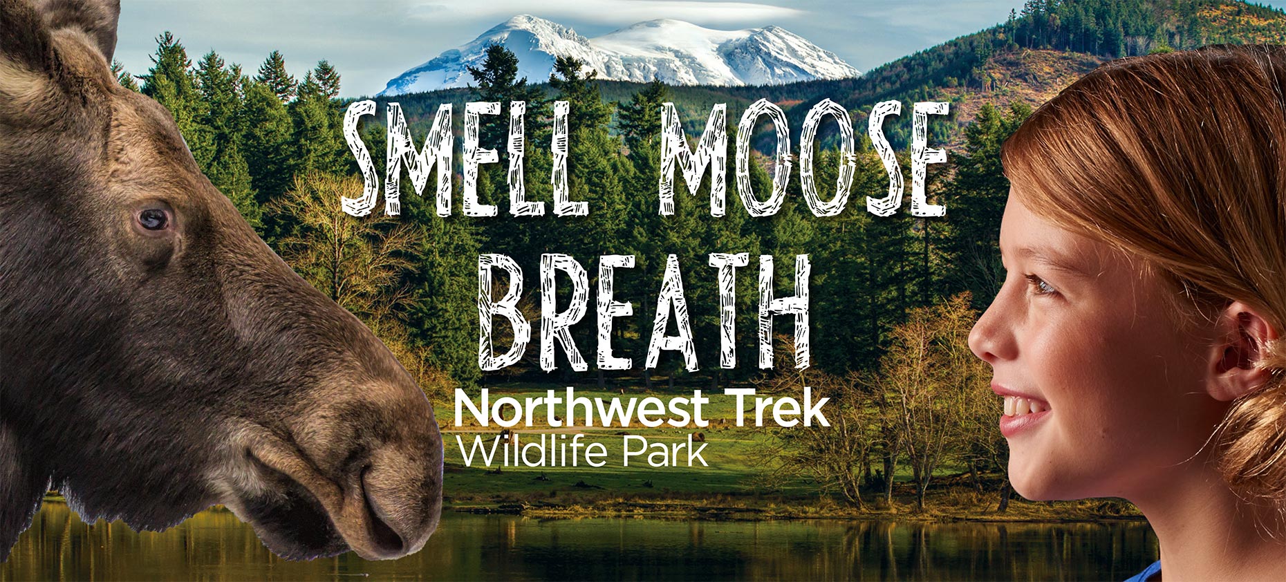 Moose and Girl in Northwest Trek  advertising campaign photo