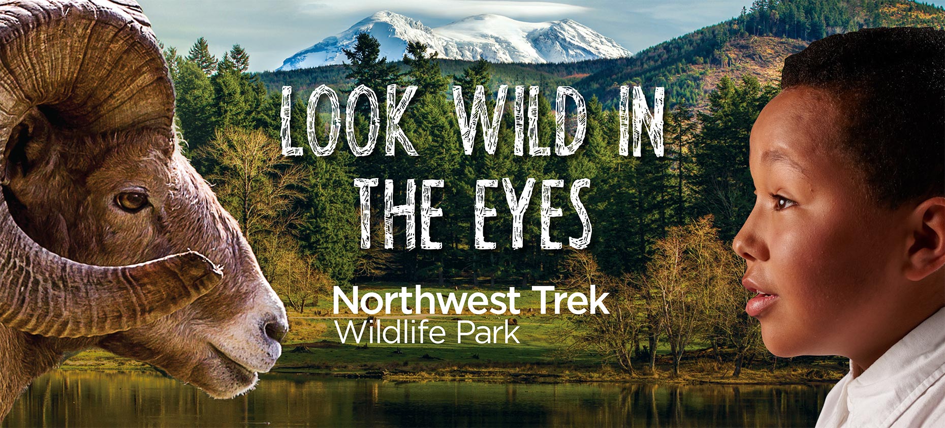 Tear sheet from Northwest Trek advertising campaign 