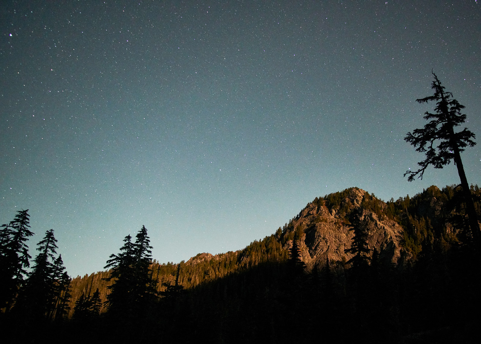night landscape photography of mountain and trees